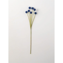 Billy Button Stem - Greenhouse Home