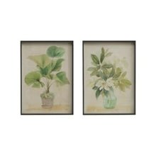 Botanical Wall Decor - Greenhouse Home