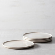 Collection No. 3 Dinner Plate Fortessa