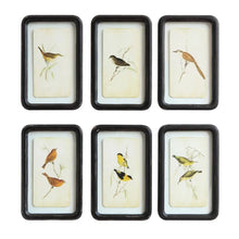 Distressed Wood Framed Wall Decor, 6 Styles, [product_price]- Greenhouse Home