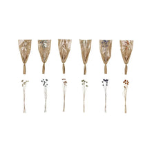 Dried Natural Craspedia Bunch, [product_price]- Greenhouse Home