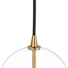 Glass Globe Pendant Greenhouse Home