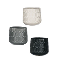 Mini Pots - Greenhouse Home