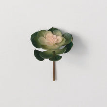 Multicolor Succulent Pick, [product_price]- Greenhouse Home