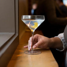 Pure Martini Cocktail Glass Fortessa