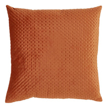 Pinsonic Velvet 22" Square Throw Pillow, [product_price]- Greenhouse Home