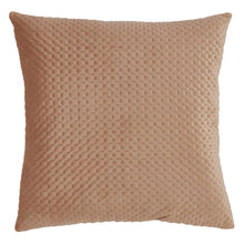 Pinsonic Velvet 22" Square Throw Pillow, [product_price]- Greenhouse Home