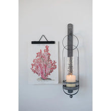 Vintage Reproduction Botanical Prints - Set of 4 - Greenhouse Home