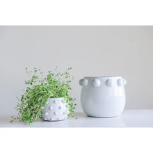 White w/ Raised Dots Terra-cotta Planter - Greenhouse Home