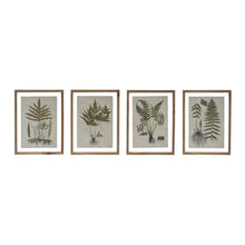 Wood Framed Wall Decor w/ Botanical Print - Greenhouse Home